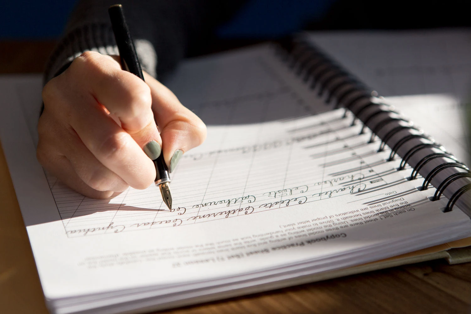 The Art Of Cursive Penmanship Book 5 The Art Of Cursive Penmanship Book - Image 3