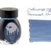 Colorverse Permanent Navy - 30ml Bottled Ink