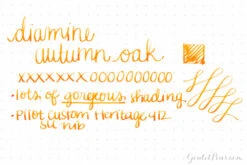 Diamine Autumn Oak - 30ml Bottled Ink -Office Supply Series Store Diamine AutumnOak 4 0366e7b2 594d 4591 a992 daa9e2b12408
