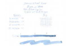 Ferris Wheel Press Dusk In Bloom - 38ml Bottled Ink -Office Supply Series Store FerrisWheelPress WritingSample DuskInBloom