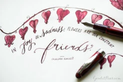 Noodler's Ahab Flex Fountain Pen - Cardinal Darkness -Office Supply Series Store MondayMatchup NoodlersAhab DiamineOxblood 3 80cb379c 8aa5 457b bc6d 8e377a776ebb