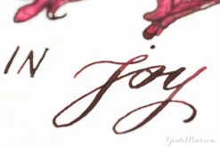 Diamine Oxblood - 80ml Bottled Ink -Office Supply Series Store MondayMatchup NoodlersAhab DiamineOxblood 5 f43cbb63 b9de 4706 b328 d343daca6865