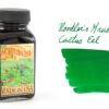 Noodler's Gruene Cactus Eel - 3oz Bottled Ink 1 Noodler's Gruene Cactus Eel - 3oz Bottled Ink -Office Supply Series Store Noodlers GrueneCactusEel BS SwabText
