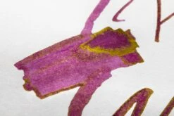 Pilot Iroshizuku Yama-budo - 50ml Bottled Ink -Office Supply Series Store Pilot Iroshizuku YamaBudo Ink 2023 5