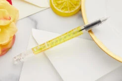 Platinum Preppy Wa Fountain Pen - Urokomon (Limited Edition)