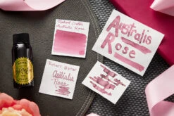 Robert Oster Australis Rose - 50ml Bottled Ink 13 Robert Oster Australis Rose - 50ml Bottled Ink -Office Supply Series Store RobertOster AustralisRose InkReview 2