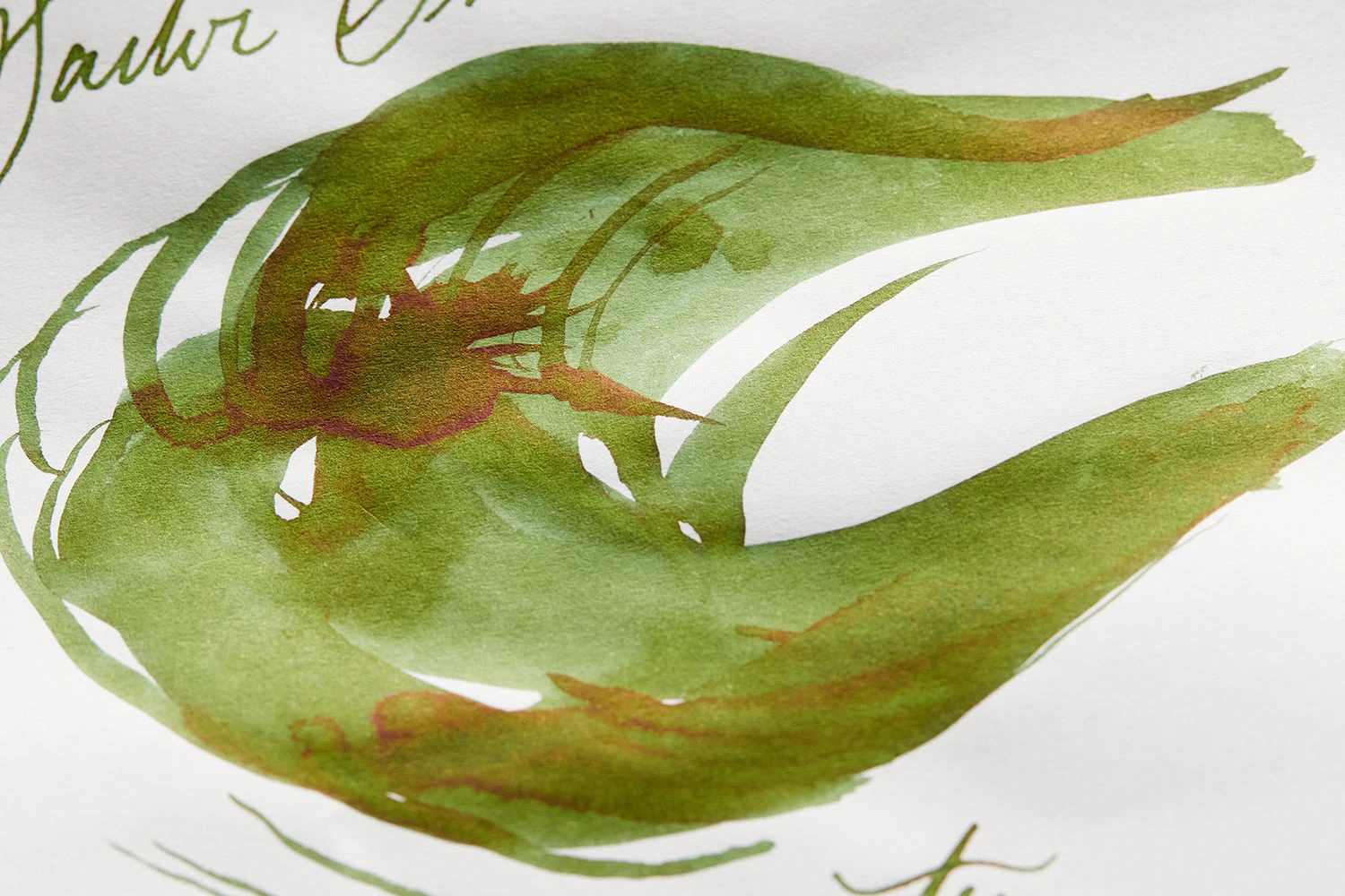 Sailor Shikiori Tokiwa-matsu - Ink Cartridges 8 Sailor Shikiori Tokiwa-matsu - Ink Cartridges - Image 6