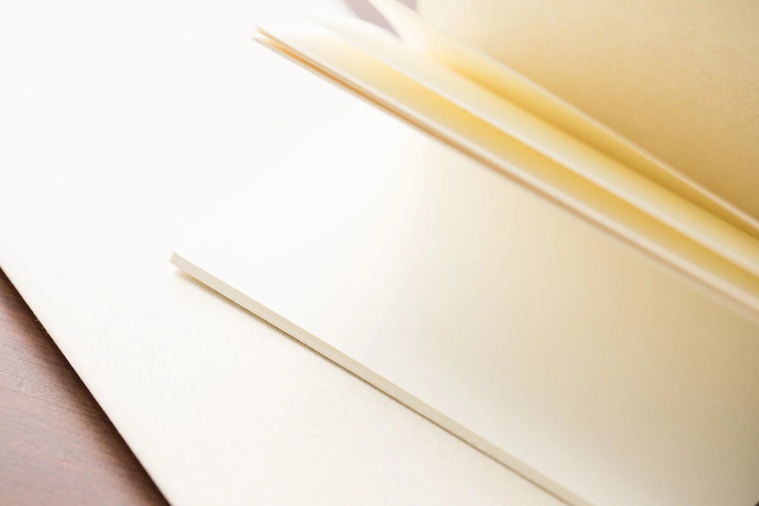 Traveler's Notebook Regular Refill 025 - Blank, Cream Paper 4 Traveler's Notebook Regular Refill 025 - Blank, Cream Paper - Image 2