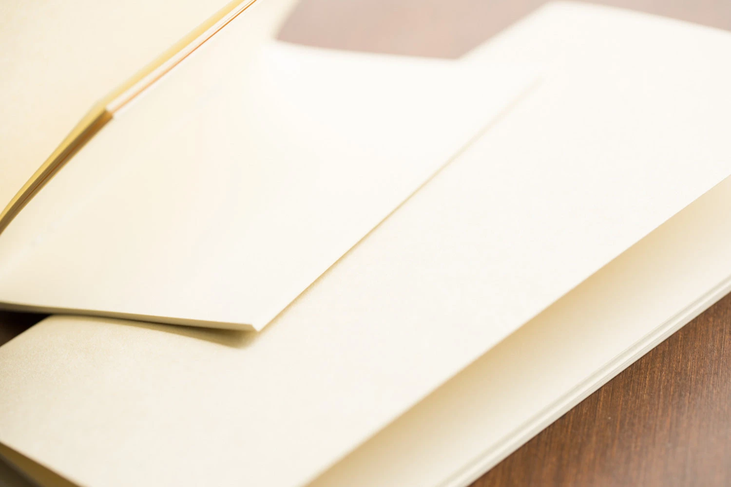 Traveler's Notebook Regular Refill 025 - Blank, Cream Paper 5 Traveler's Notebook Regular Refill 025 - Blank, Cream Paper - Image 3